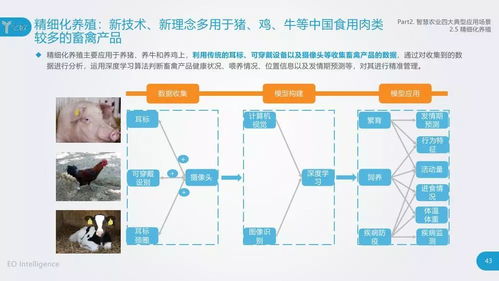 物聯(lián)網(wǎng)與人工智能技術在農(nóng)業(yè)領域的應用與開發(fā)研究